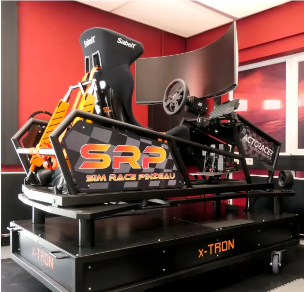 Sim Race Pinzgau